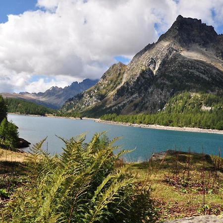 瓦尔佐Casa Vacanza In Tipico Chalet Di Montagna别墅 外观 照片