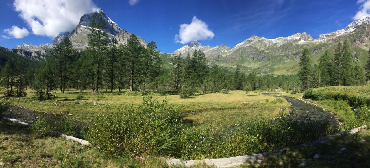 瓦尔佐Casa Vacanza In Tipico Chalet Di Montagna别墅 外观 照片