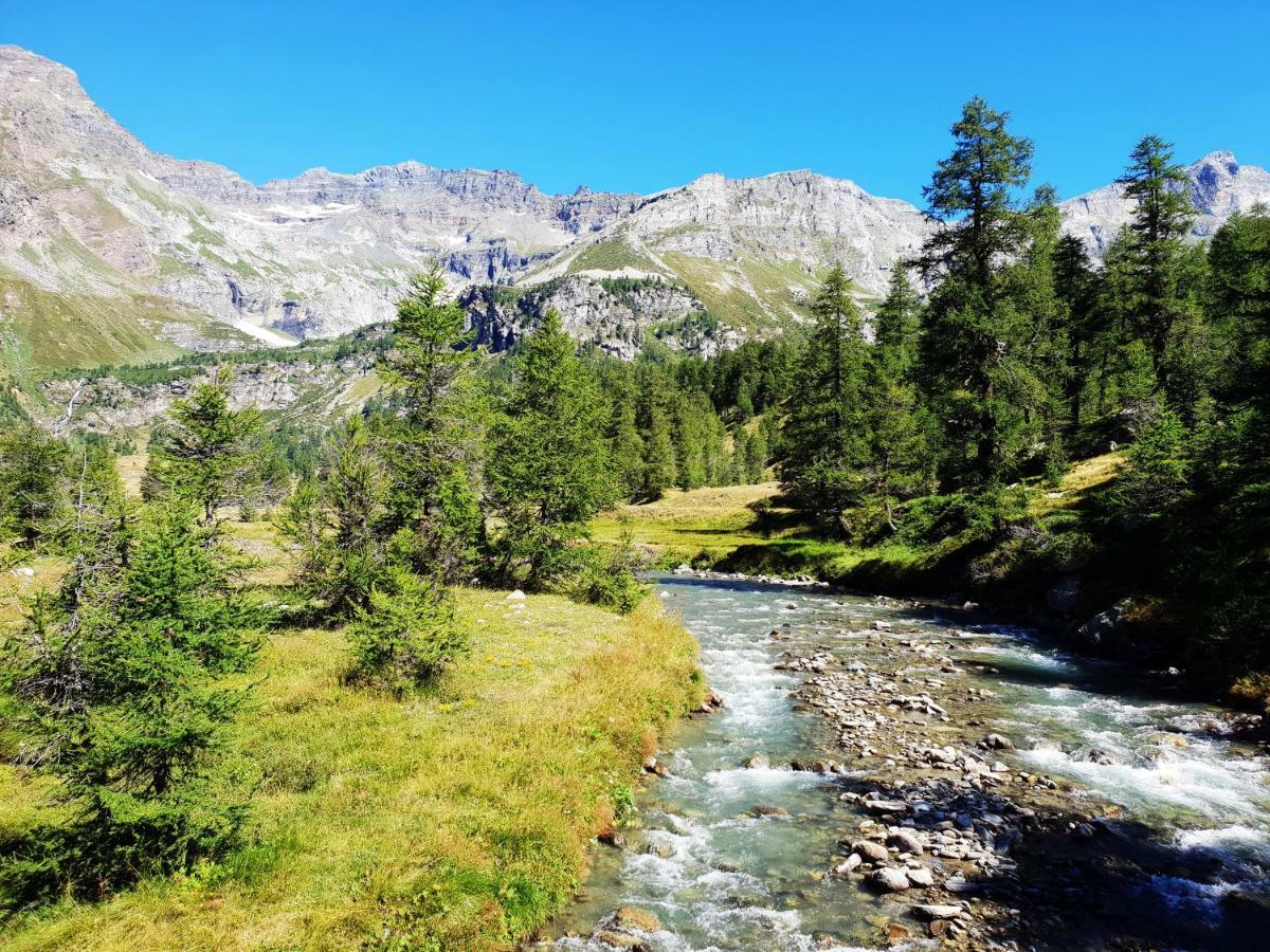 瓦尔佐Casa Vacanza In Tipico Chalet Di Montagna别墅 外观 照片